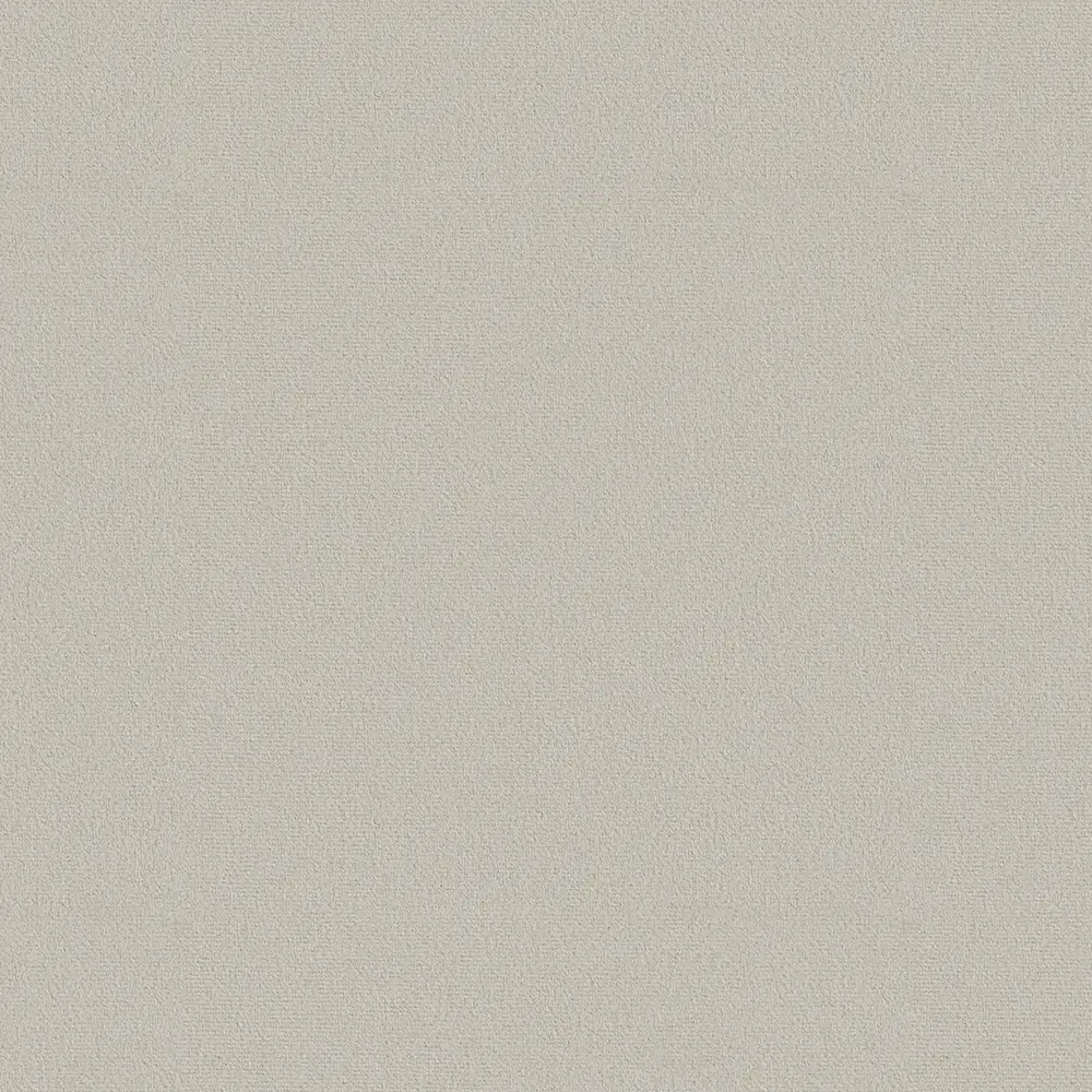 Lenova Velour B41