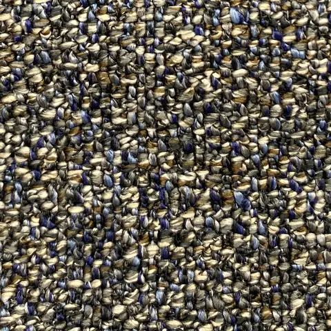 Allium 16