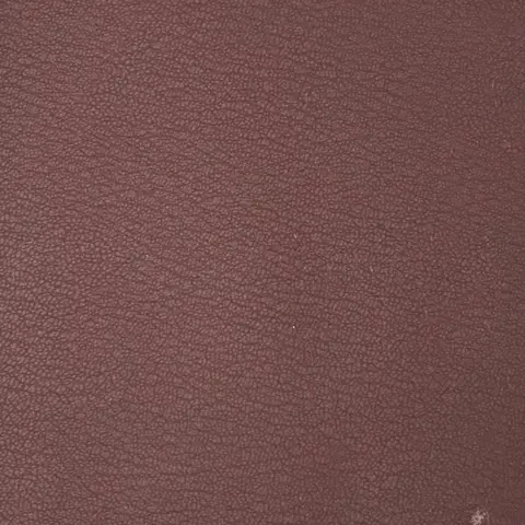 Aqua 5