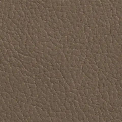 Beige 281