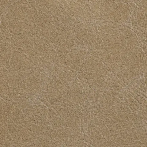 Beige Petra