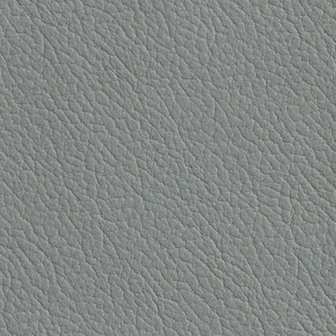 Ivory 159