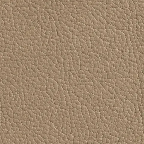 Ivory 266