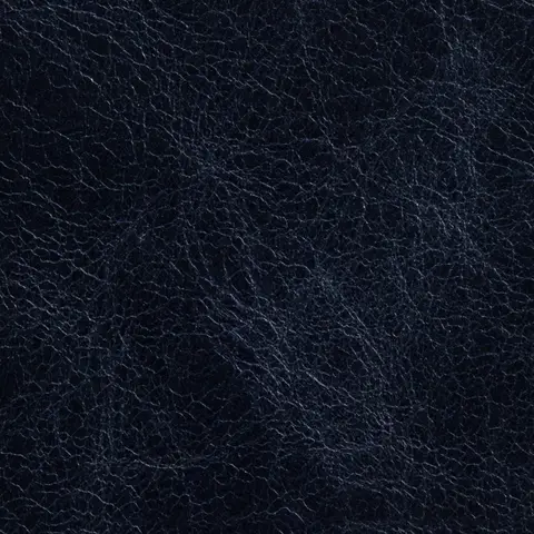 IWC Navy Blue