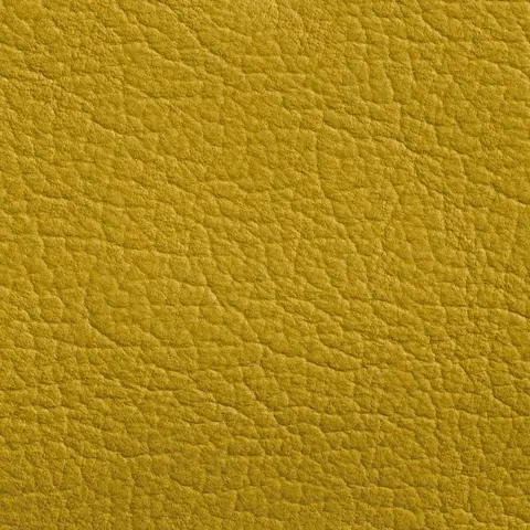 Lemon 373