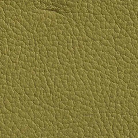 Pistachio 358