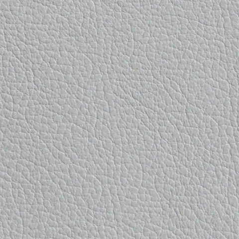 White 113