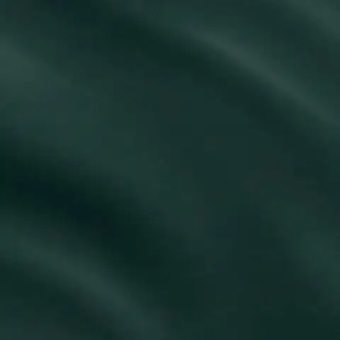 022 Velvet 6433