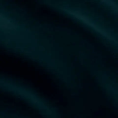 022 Velvet 6439