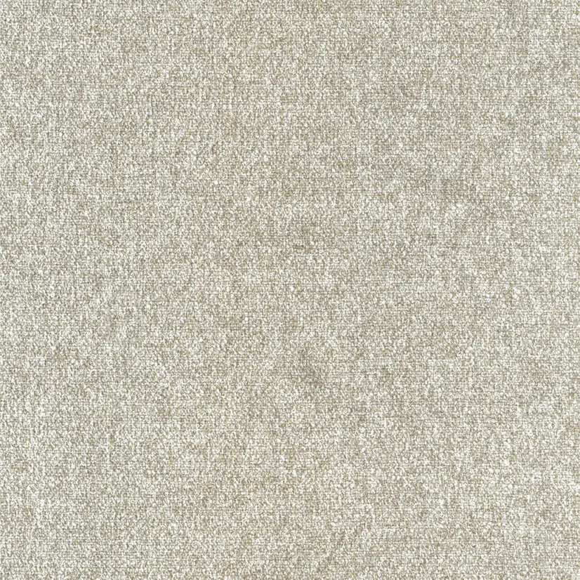 Saloni Allium D 01