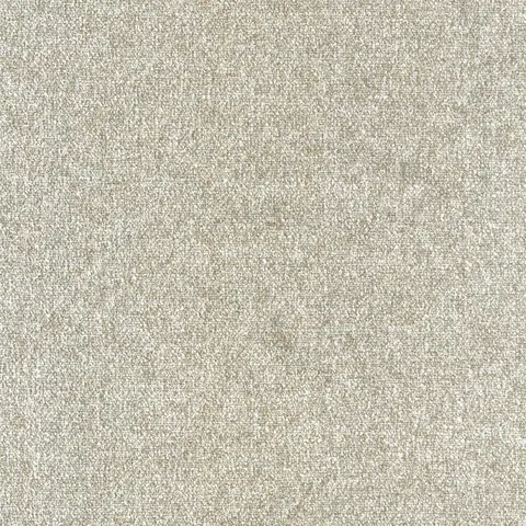 Allium D 01