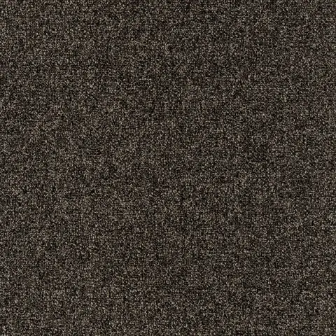 Allium D 25