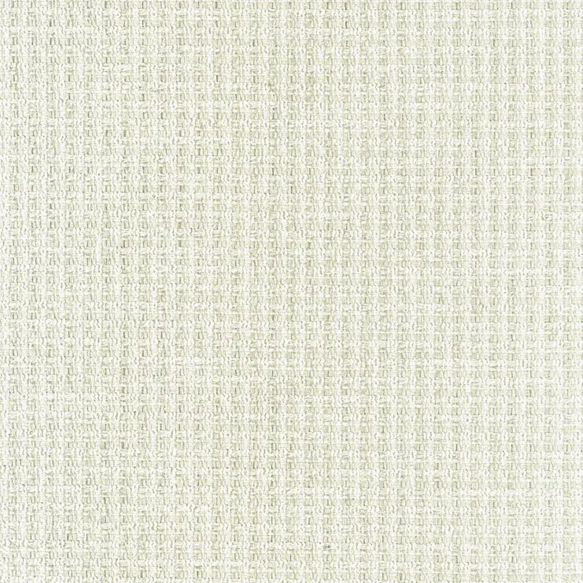 Saloni Fiugi 230000