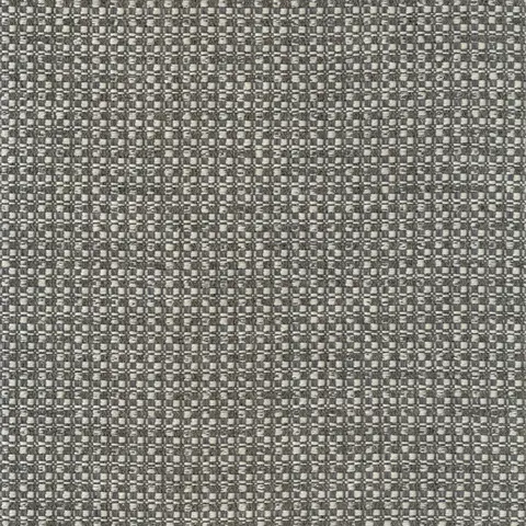 Fiugi 230002