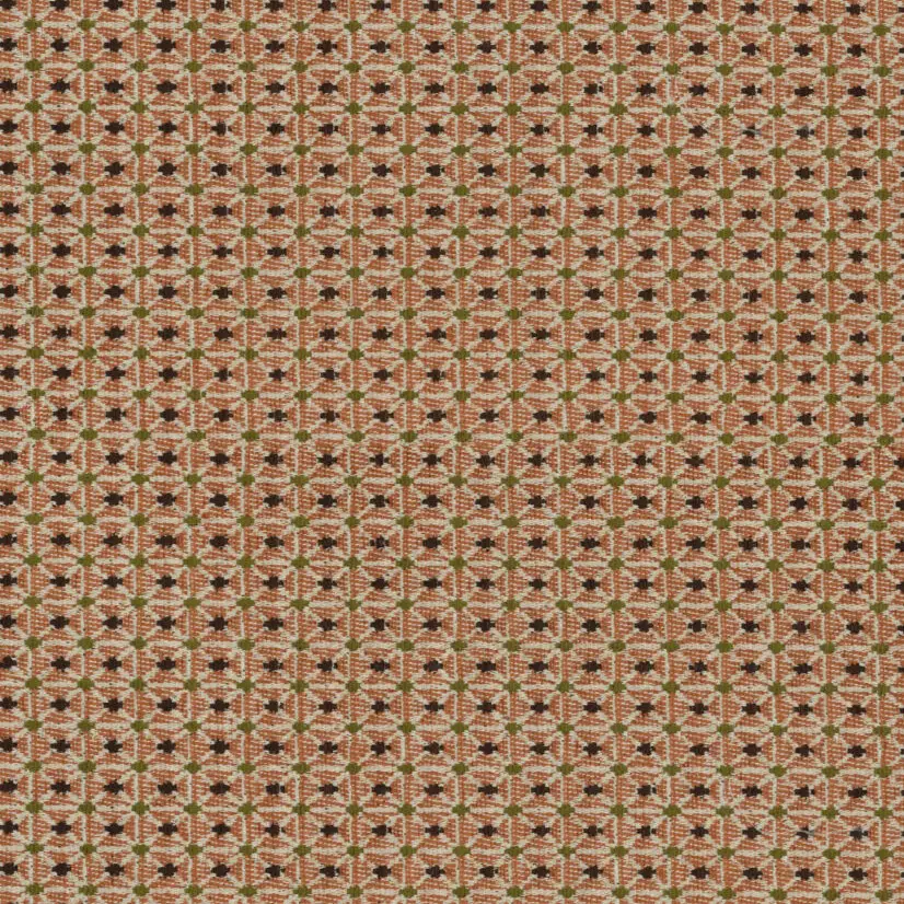 Saloni Julio 001 01