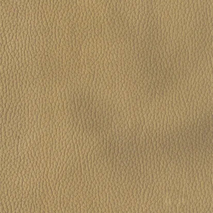 Saloni Massa 030
