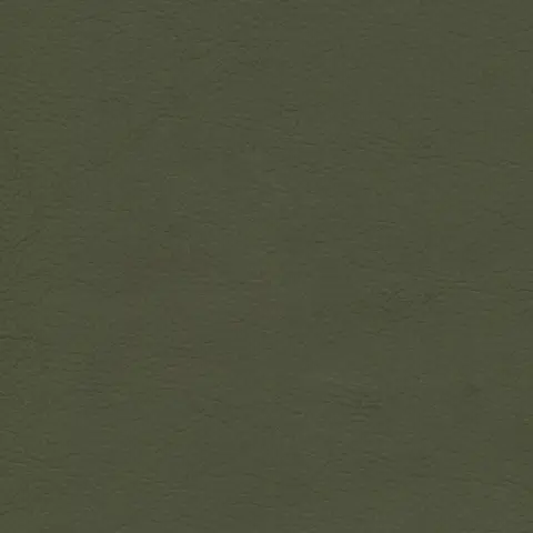 Miura 356-Forest