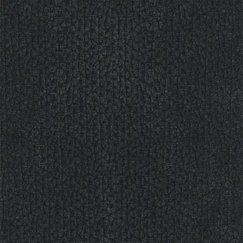 Nero 1100-01
