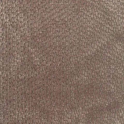 Nero 2050-02