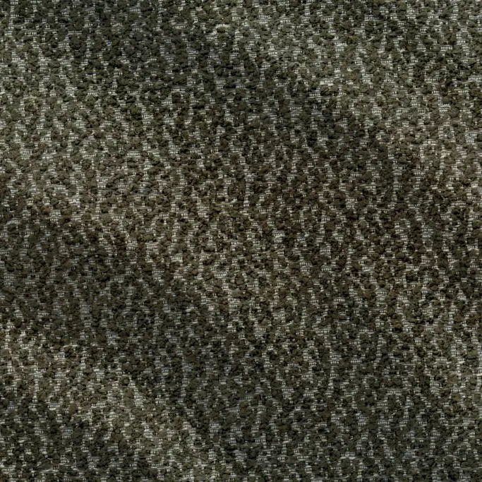 Saloni Neron 6076