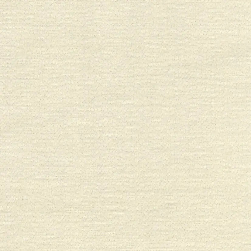 Saloni Root 1 1048