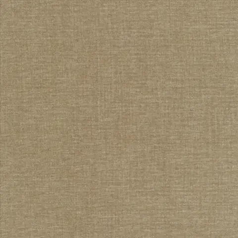 Root 1 5048