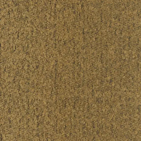 Yankı 55-19