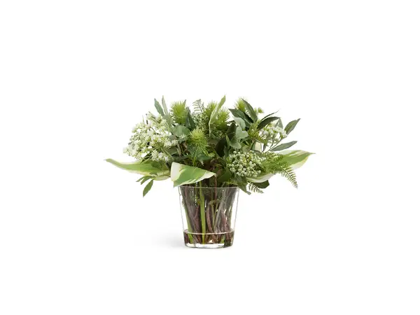 Композиция Treez Collection Green Lifestyle в стеклянной вазе
